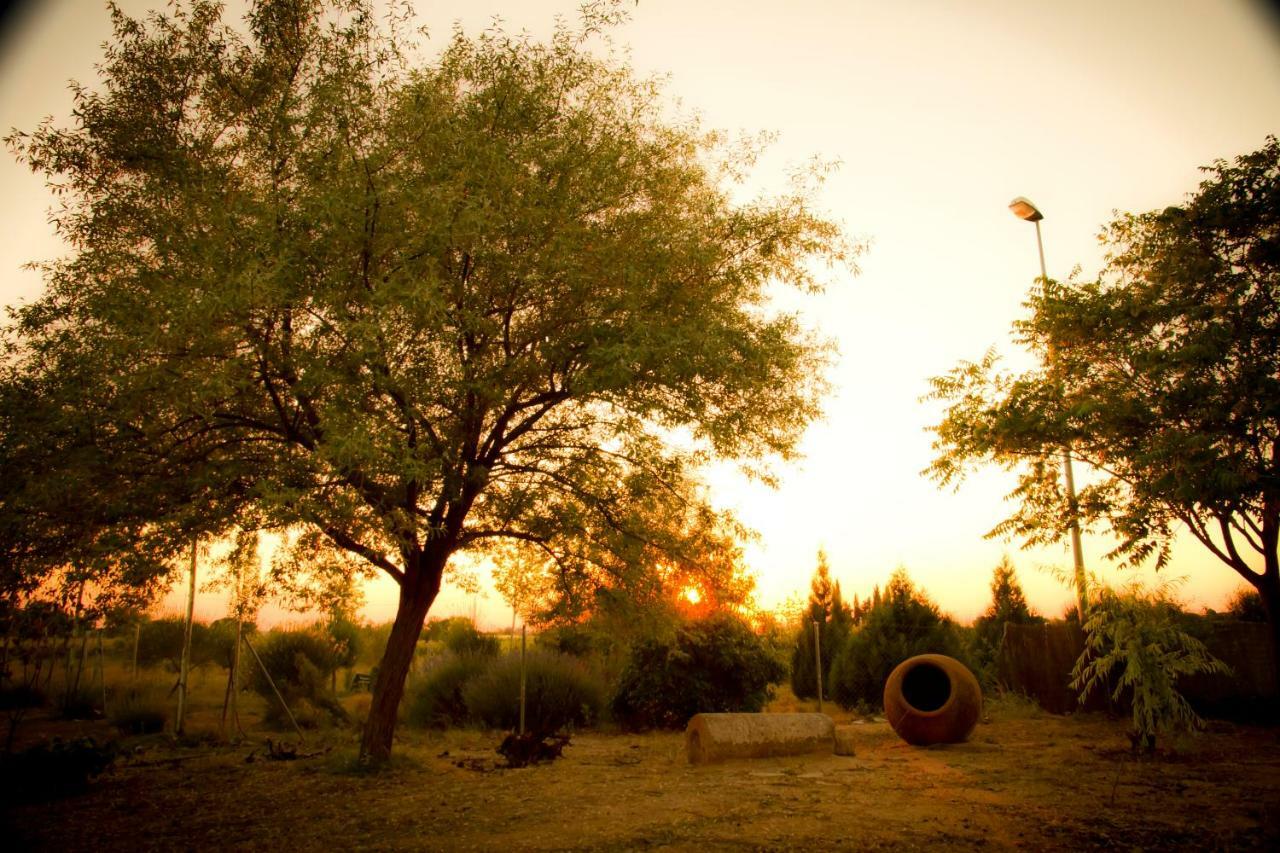 Las Candelas Casas De Los Pinos 외부 사진